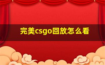 完美csgo回放怎么看