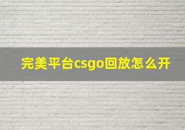 完美平台csgo回放怎么开