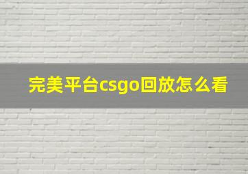 完美平台csgo回放怎么看