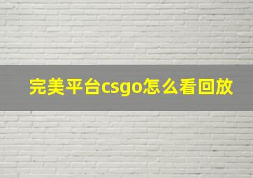 完美平台csgo怎么看回放