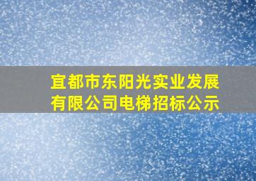 宜都市东阳光实业发展有限公司电梯招标公示