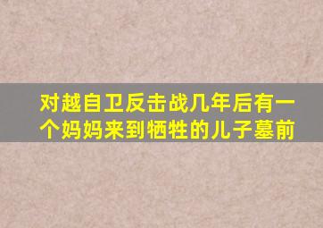 对越自卫反击战几年后有一个妈妈来到牺牲的儿子墓前