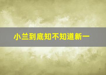 小兰到底知不知道新一