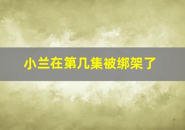 小兰在第几集被绑架了