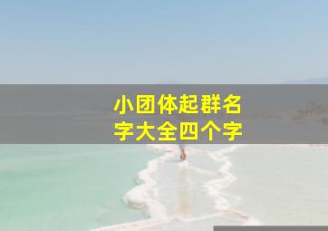 小团体起群名字大全四个字