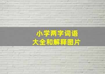 小学两字词语大全和解释图片