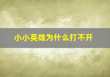 小小英雄为什么打不开