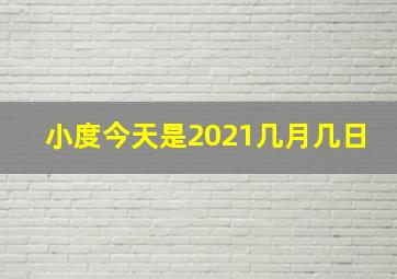 小度今天是2021几月几日