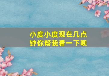 小度小度现在几点钟你帮我看一下呗