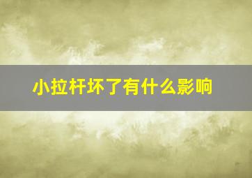 小拉杆坏了有什么影响