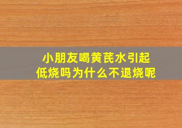 小朋友喝黄芪水引起低烧吗为什么不退烧呢