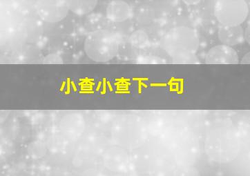 小查小查下一句