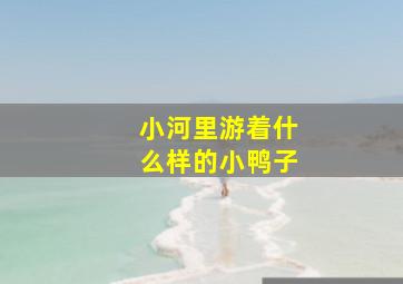 小河里游着什么样的小鸭子