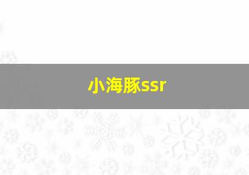 小海豚ssr