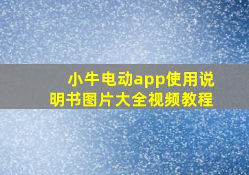 小牛电动app使用说明书图片大全视频教程