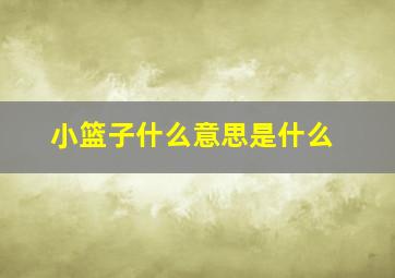 小篮子什么意思是什么