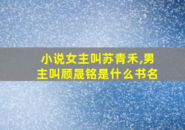 小说女主叫苏青禾,男主叫顾晟铭是什么书名