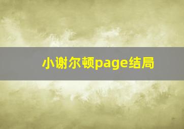 小谢尔顿page结局