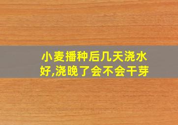 小麦播种后几天浇水好,浇晚了会不会干芽