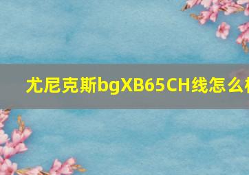 尤尼克斯bgXB65CH线怎么样