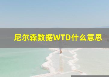 尼尔森数据WTD什么意思