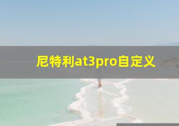 尼特利at3pro自定义