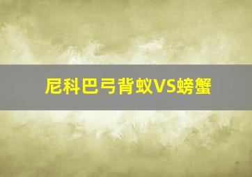 尼科巴弓背蚁VS螃蟹