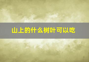 山上的什么树叶可以吃