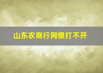 山东农商行网银打不开