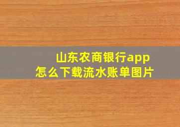 山东农商银行app怎么下载流水账单图片