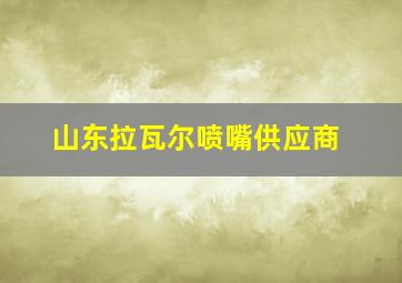 山东拉瓦尔喷嘴供应商