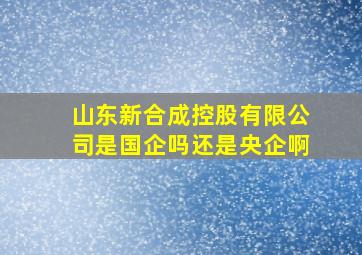 山东新合成控股有限公司是国企吗还是央企啊