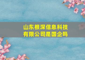 山东根深信息科技有限公司是国企吗