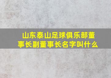 山东泰山足球俱乐部董事长副董事长名字叫什么