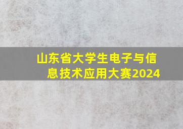 山东省大学生电子与信息技术应用大赛2024