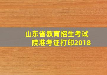 山东省教育招生考试院准考证打印2018