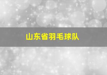 山东省羽毛球队