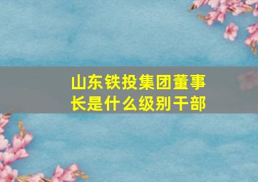 山东铁投集团董事长是什么级别干部