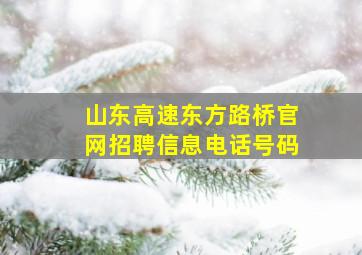 山东高速东方路桥官网招聘信息电话号码