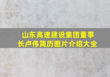 山东高速建设集团董事长卢伟简历图片介绍大全