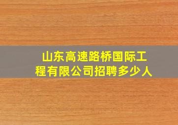 山东高速路桥国际工程有限公司招聘多少人