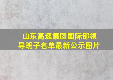 山东高速集团国际部领导班子名单最新公示图片