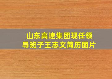 山东高速集团现任领导班子王志文简历图片