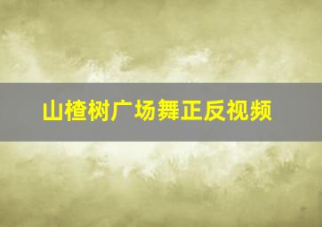 山楂树广场舞正反视频