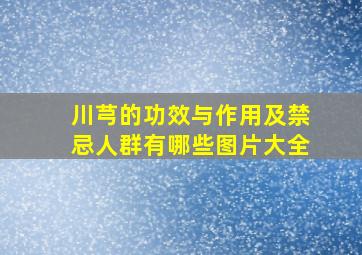 川芎的功效与作用及禁忌人群有哪些图片大全