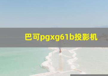 巴可pgxg61b投影机