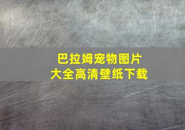 巴拉姆宠物图片大全高清壁纸下载