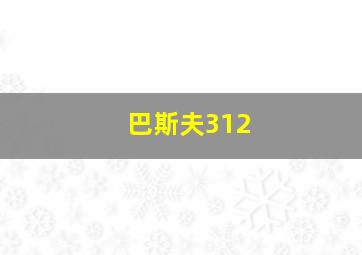 巴斯夫312