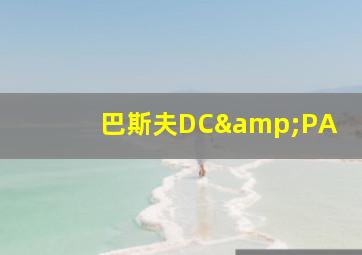 巴斯夫DC&PA