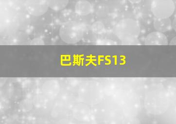 巴斯夫FS13